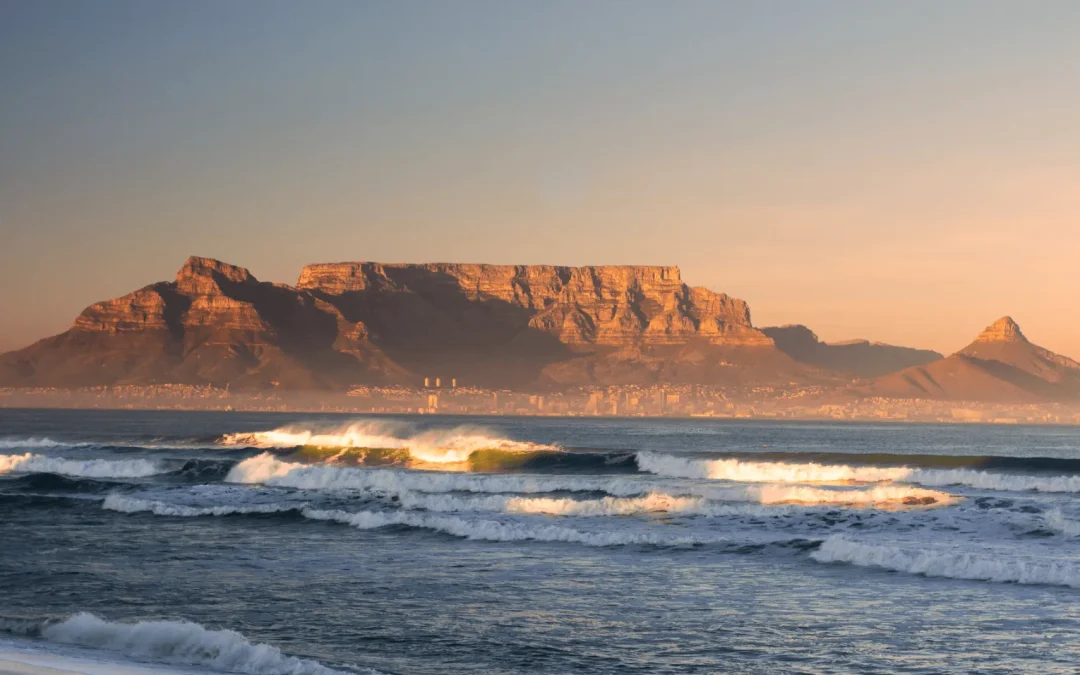 Partnering for Prosperity: Introducing the CITRINE SA Investment Range